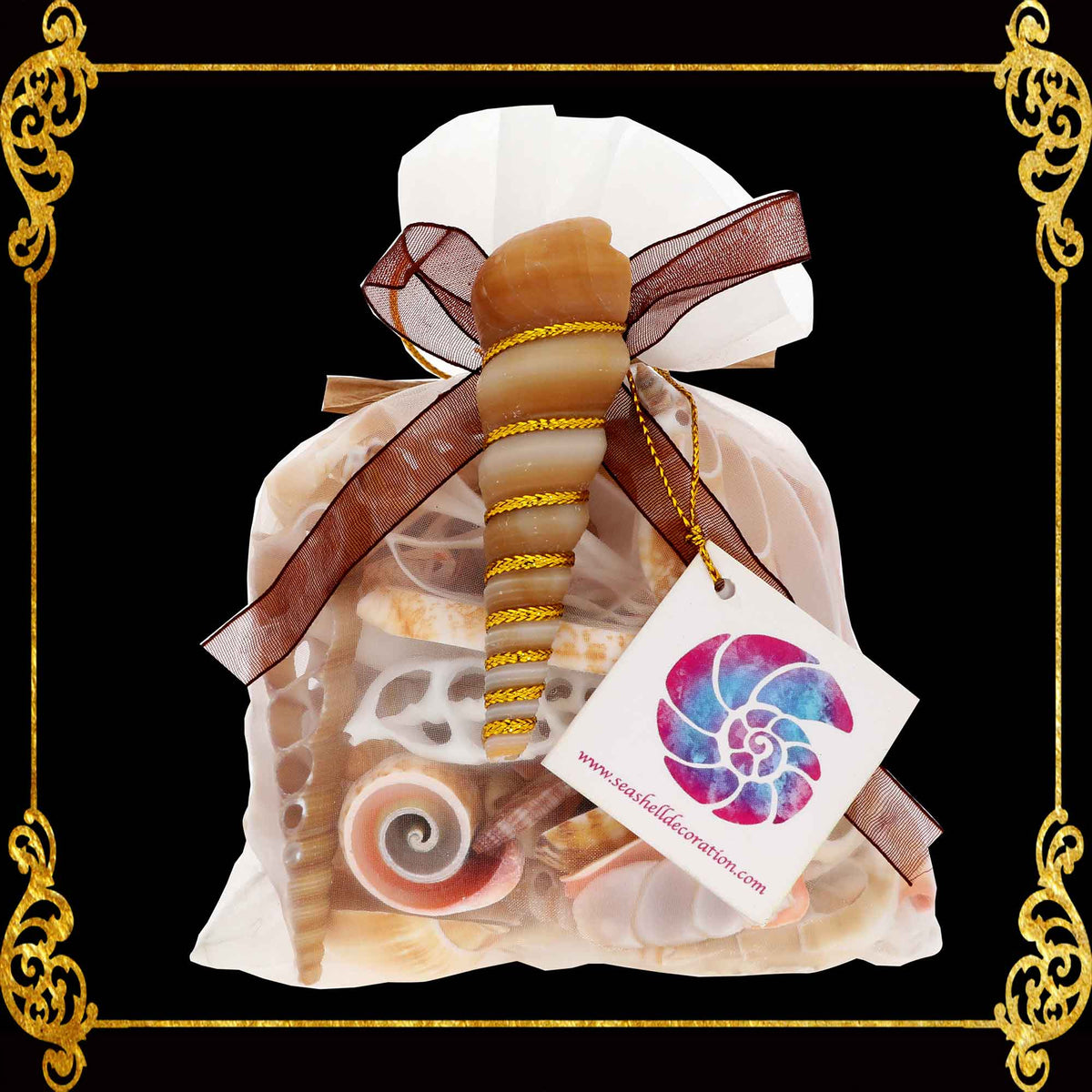 Beach Mixed Cut and Sliced Seashells in Organza Pouch Bag | Shell Crafts | Aquarium Decor | 250 grams