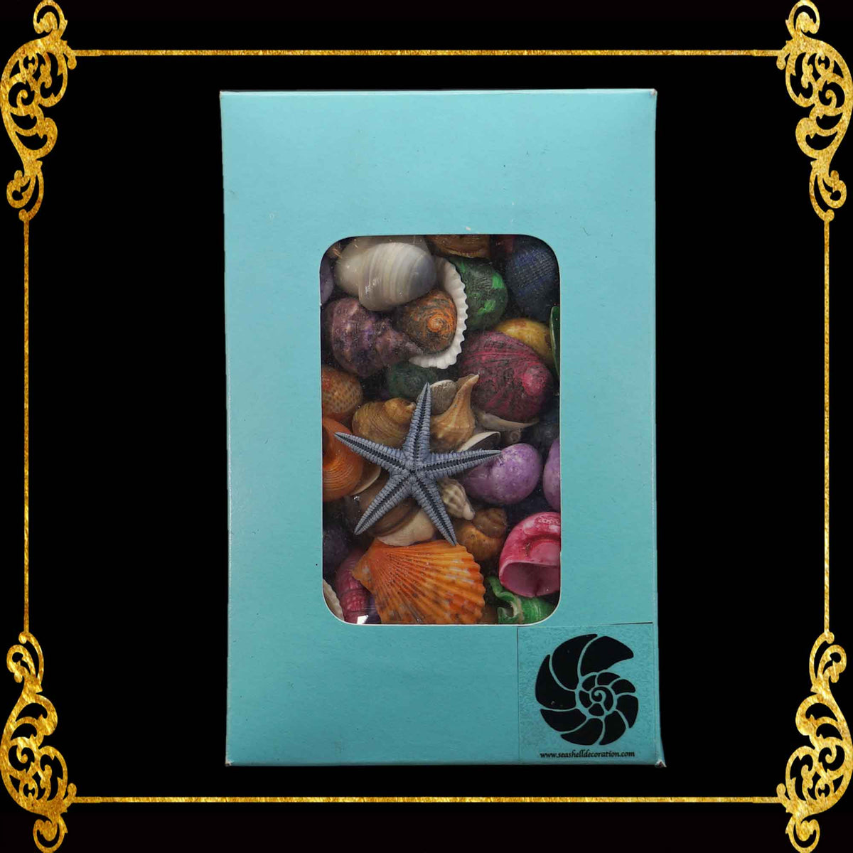 Beach Mixed Colored Tiny Sea Shells in Nautical Box | Shell Crafts | Aquarium Decor | 200 grams