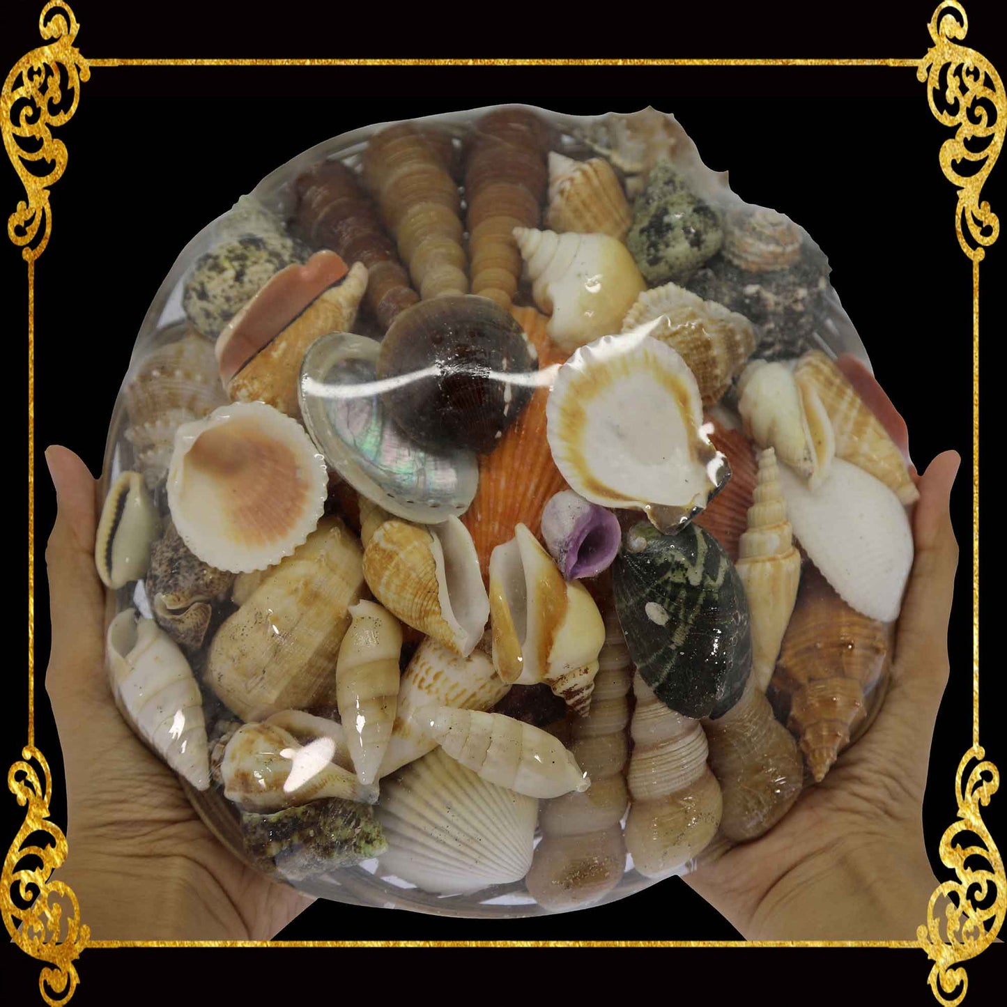 Mixed Sea Shell in a Native Basket | 10 Inches