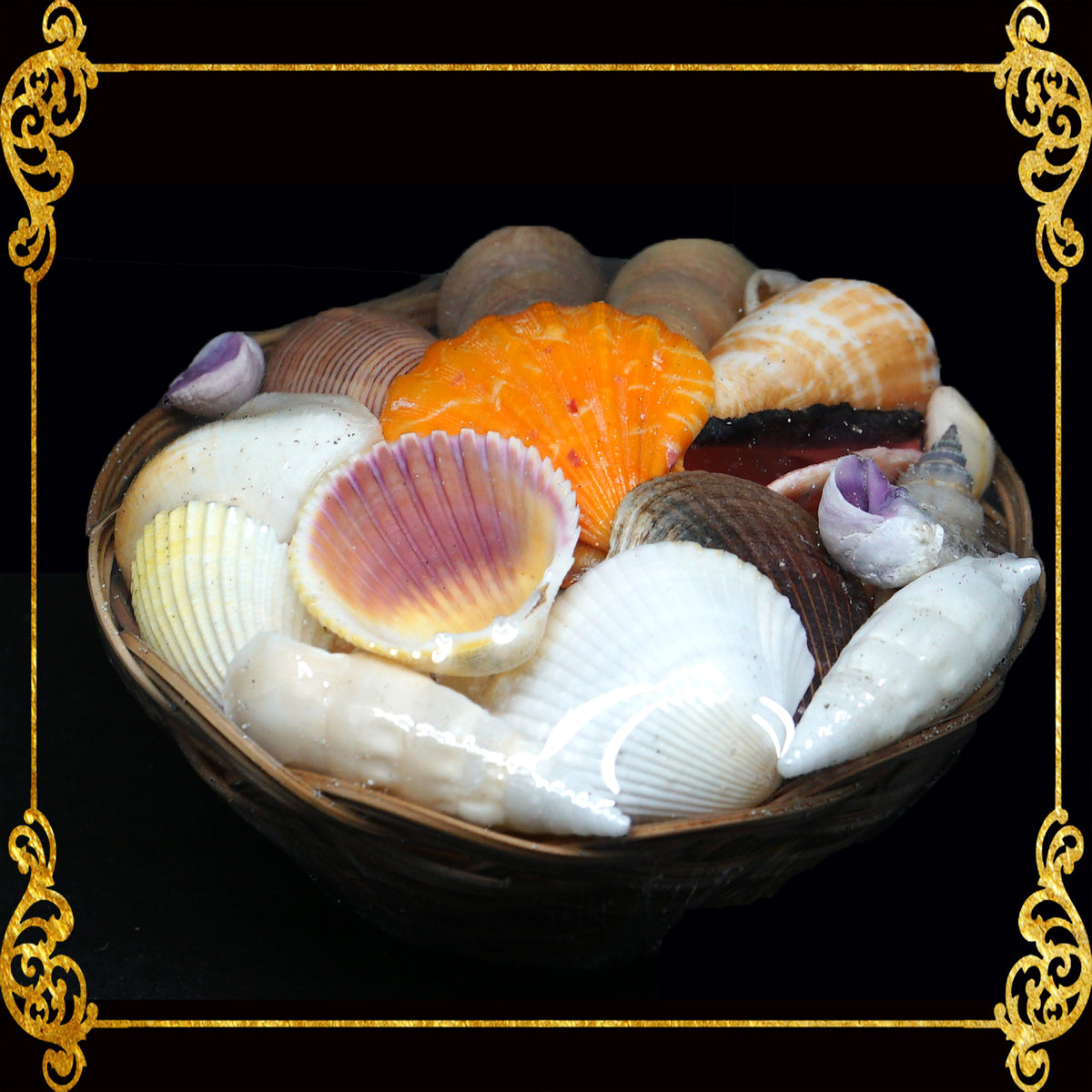 Mixed Sea Shell in a Native Basket | 6 Inches