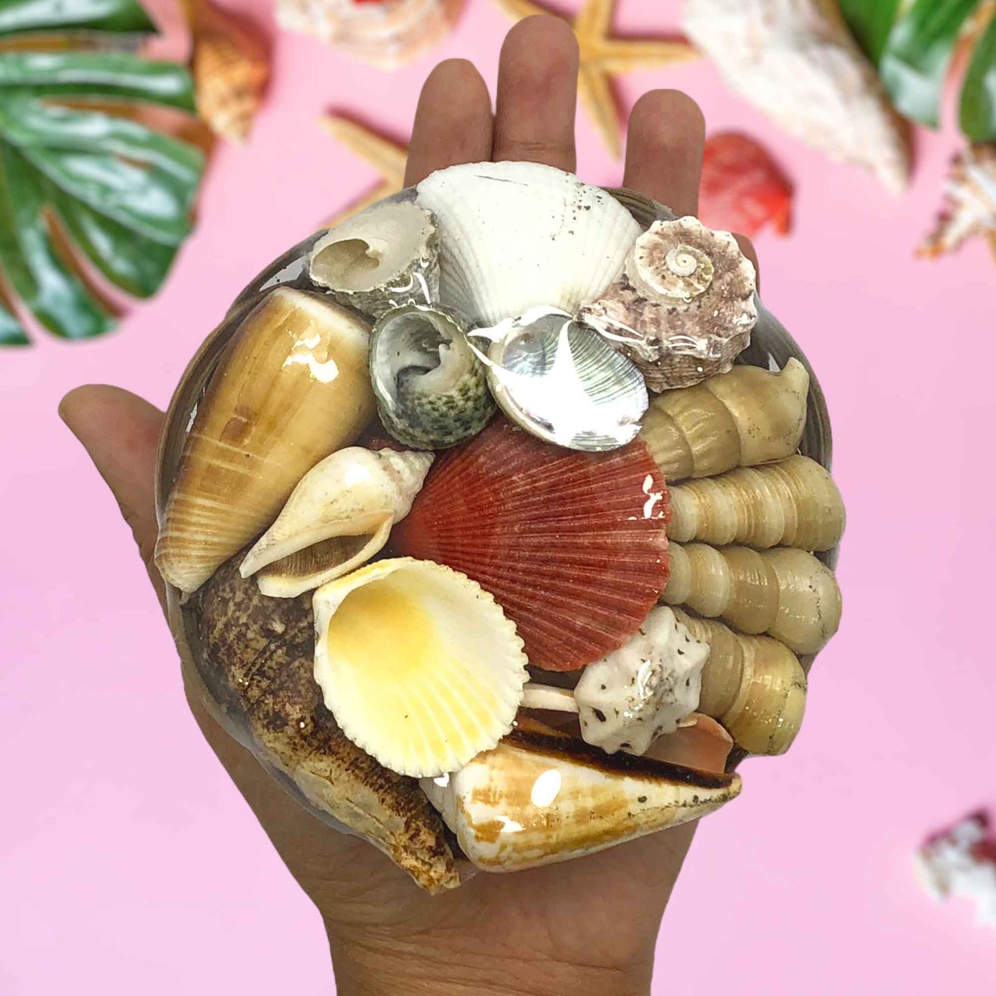 Mixed Sea Shell in a Native Basket | 4 Inches