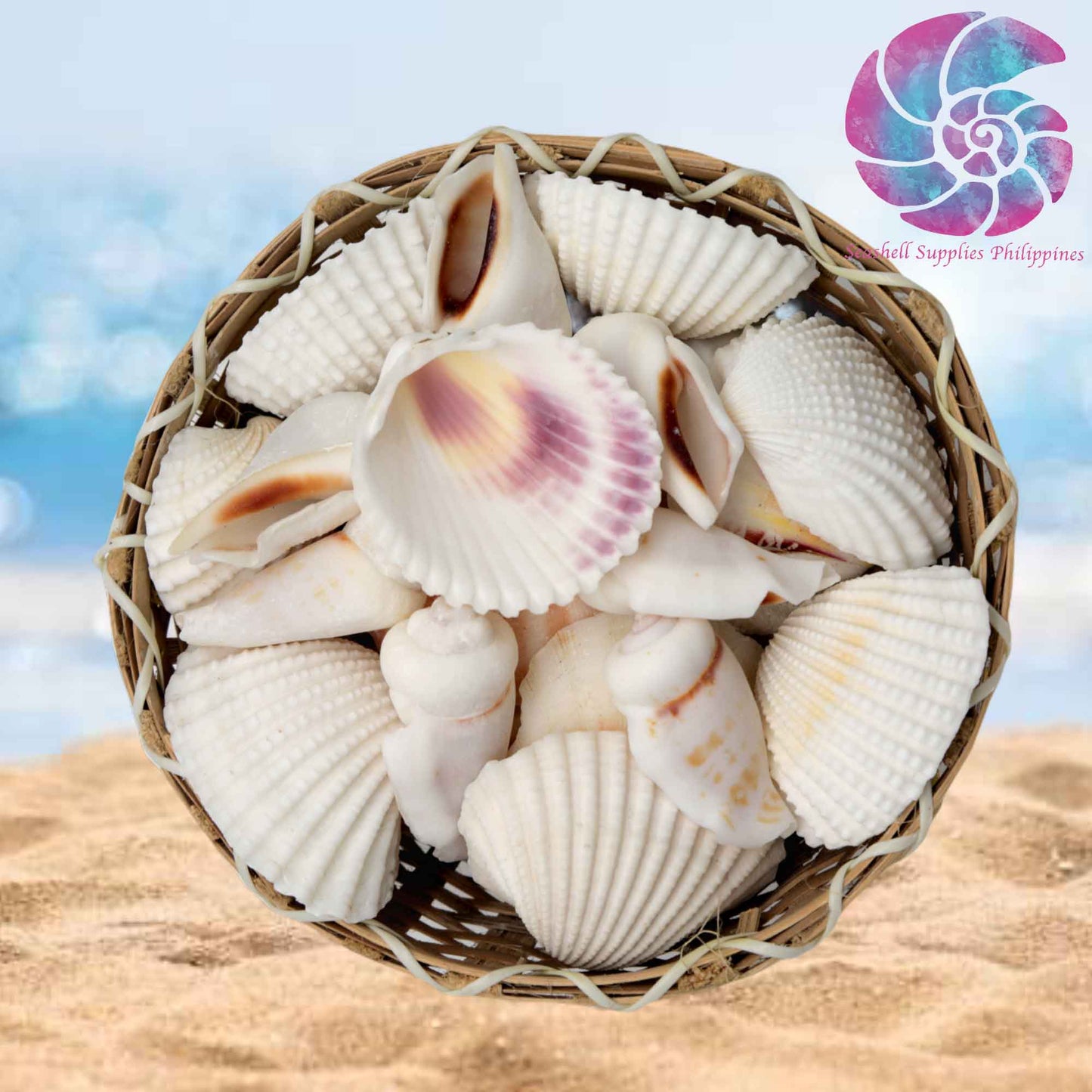 Mixed Sea Shell in a Wooden Basket | 5 Inches | White Clams and Conch