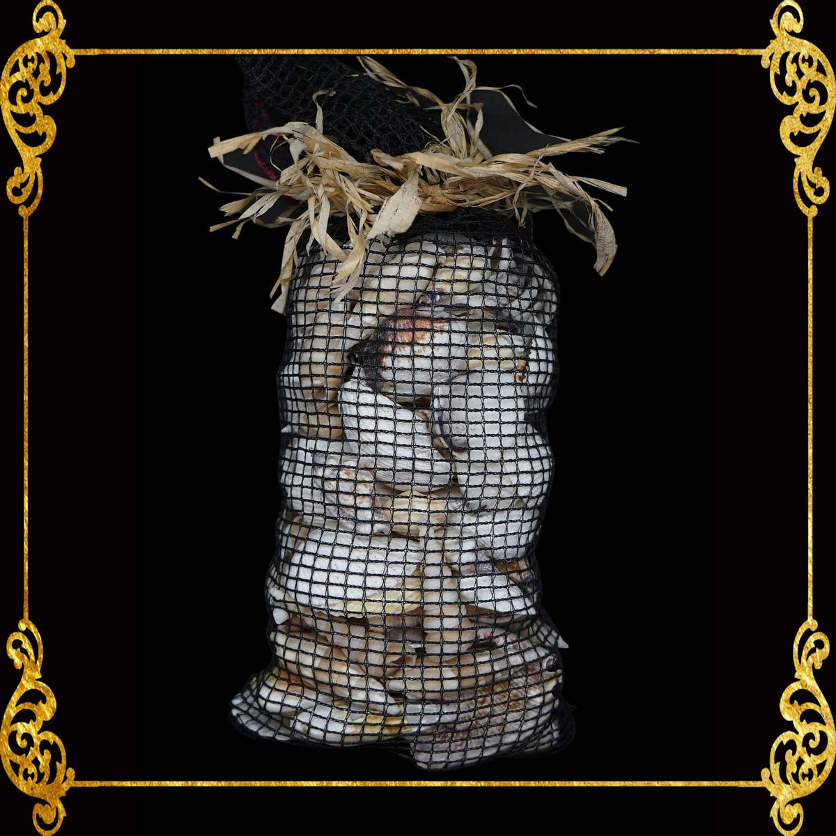 Beach Mixed White Sea Shells in Black Net with Organic Ribbon| 500 Grams