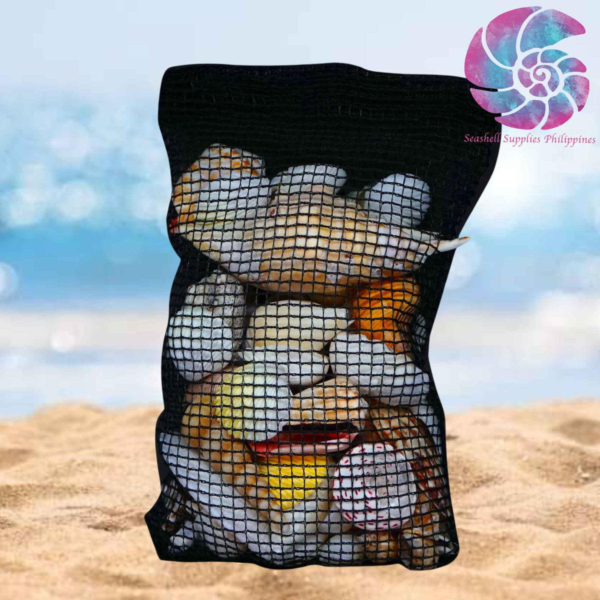 Beach Mixed Sea Shells in Black Net | 500 Grams