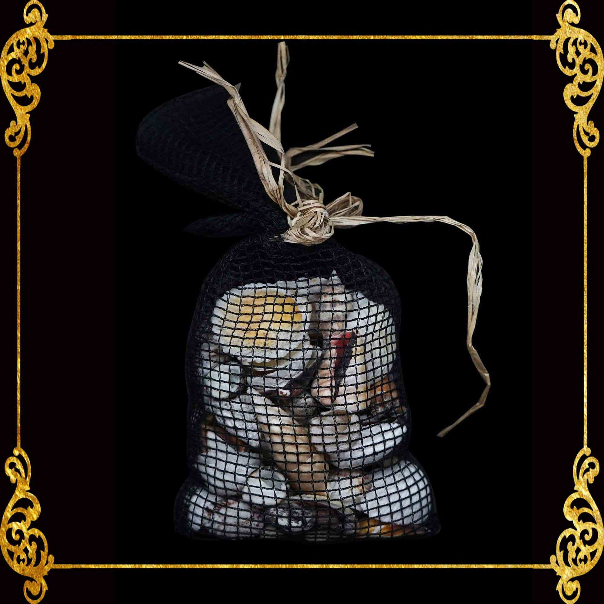 Beach Mixed White Sea Shells in Black Net | 350 Grams