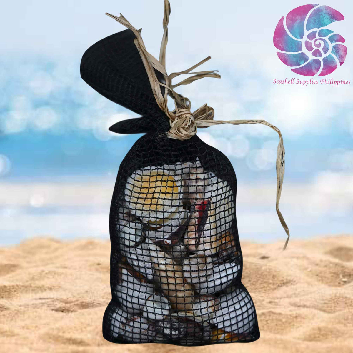 Beach Mixed White Sea Shells in Black Net | 350 Grams