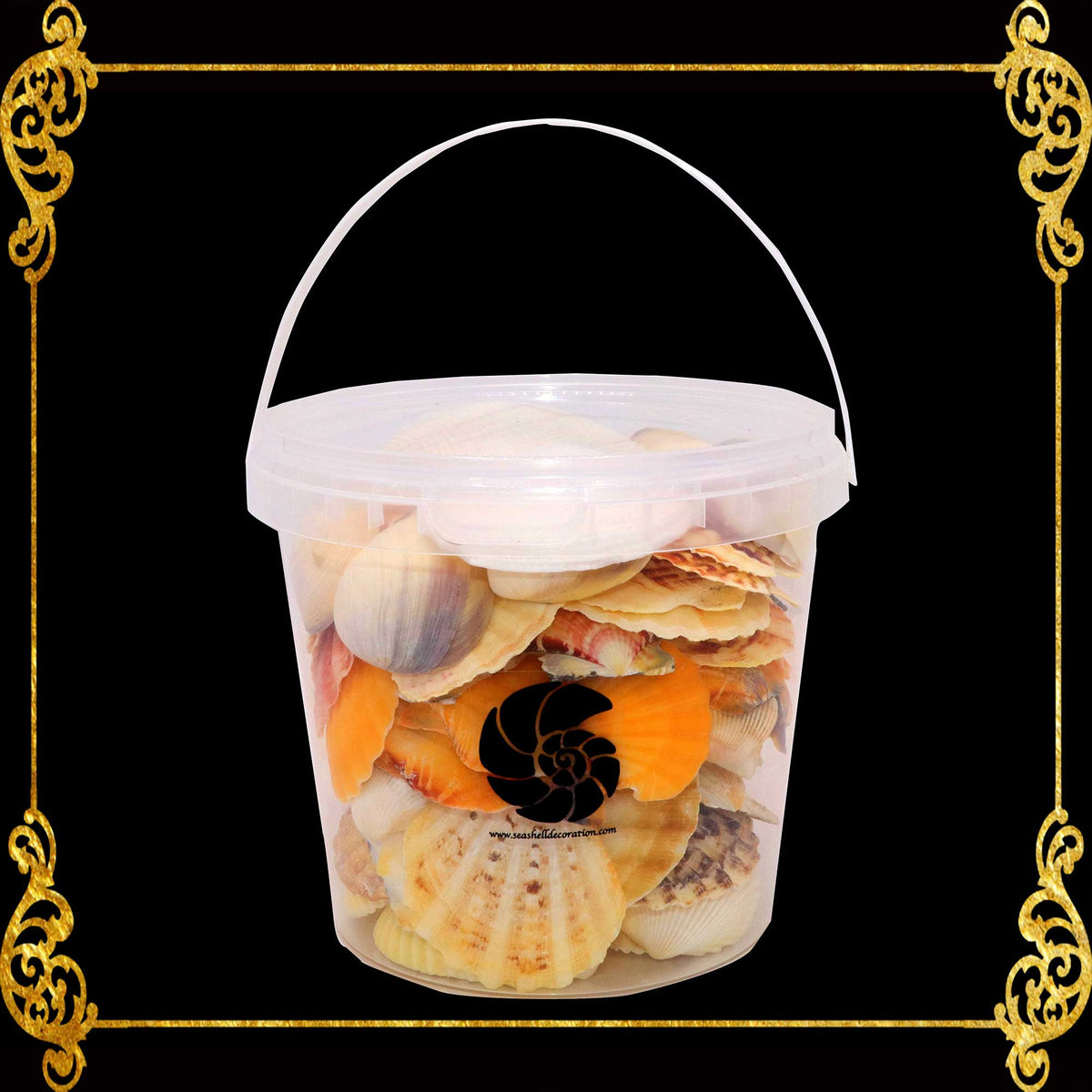 Beach Mixed Seashells Bucket | Shell Crafts | Aquarium Decor | Garden Ornament