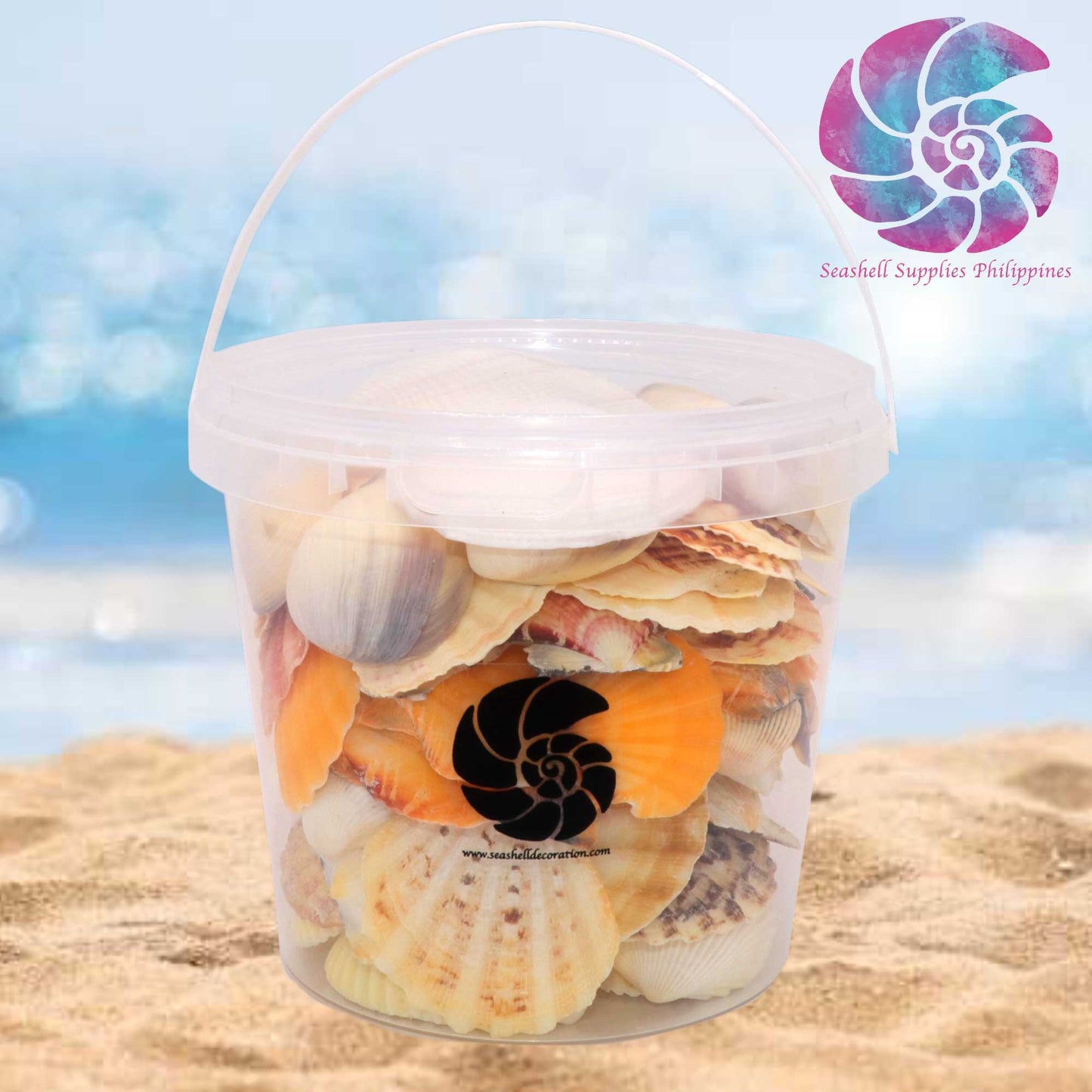 Beach Mixed Seashells Bucket | Shell Crafts | Aquarium Decor | Garden Ornament