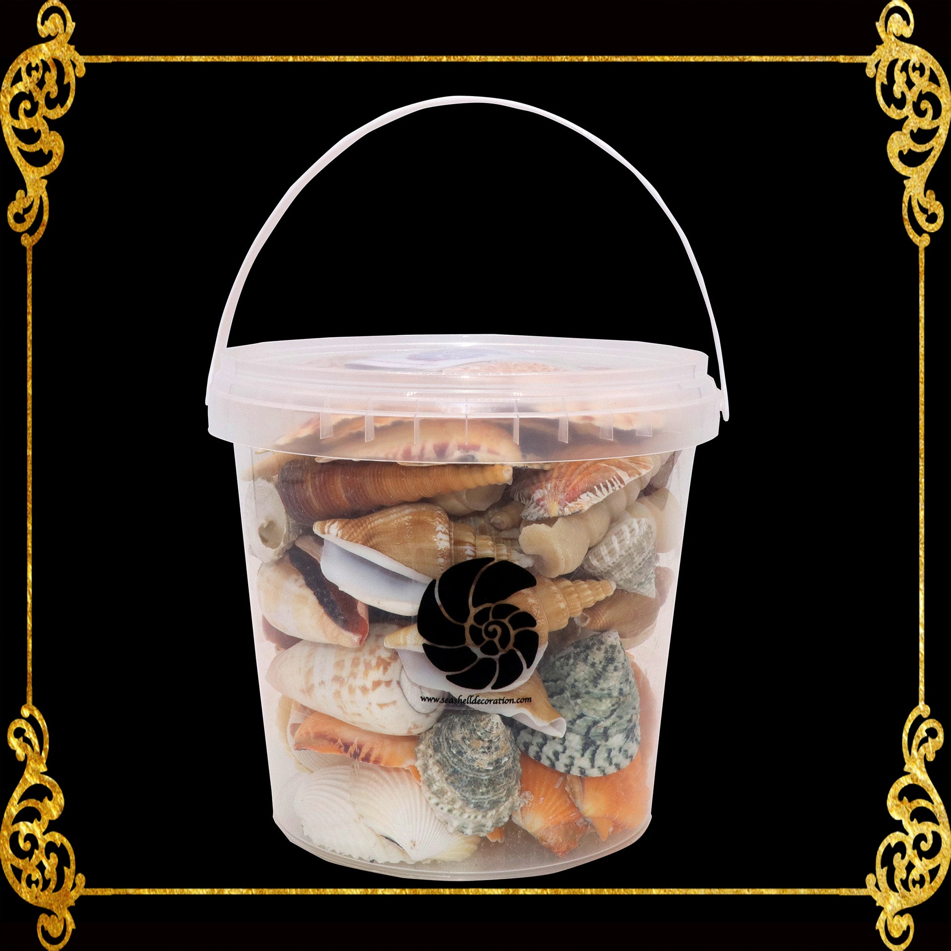 Beach Mixed Sea Shells Clams Bucket | Shell Crafts | Aquarium Decor | Garden Ornament