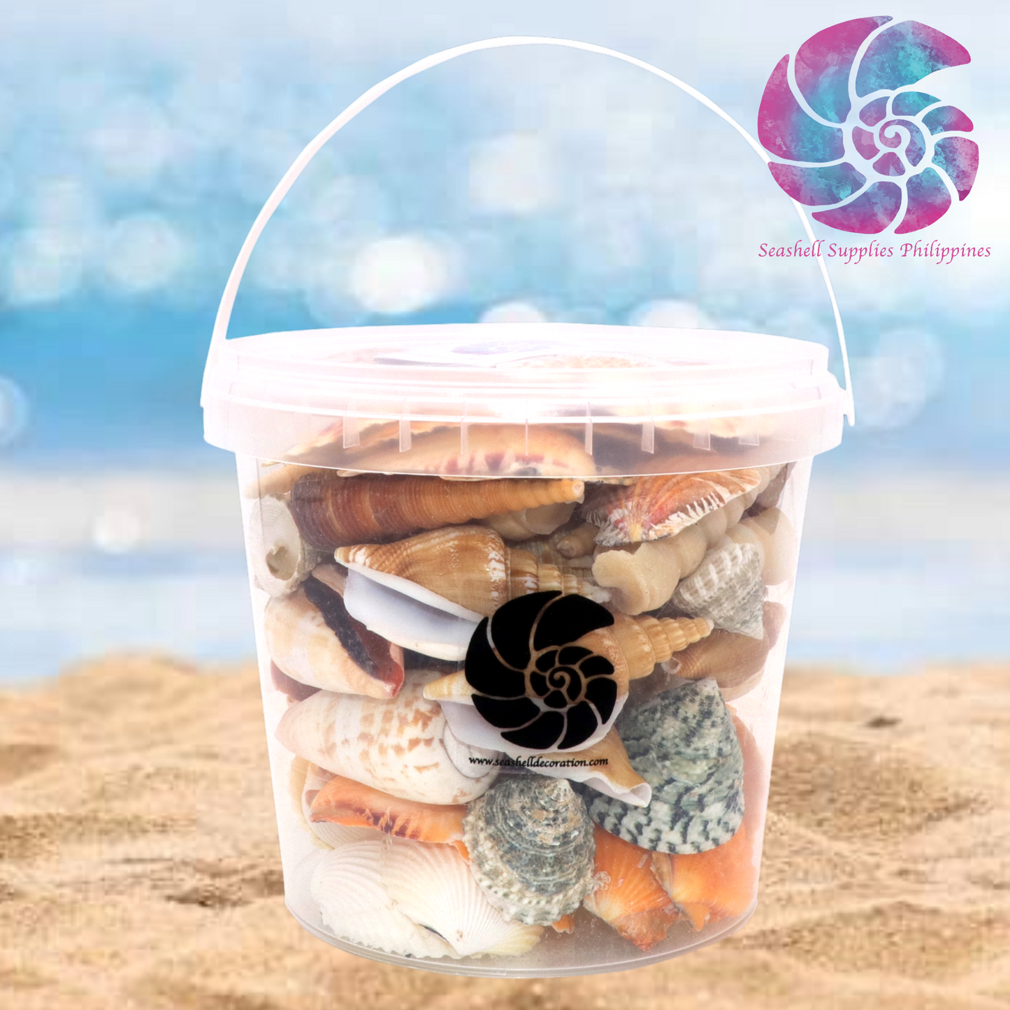 Beach Mixed Sea Shells Clams Bucket | Shell Crafts | Aquarium Decor | Garden Ornament