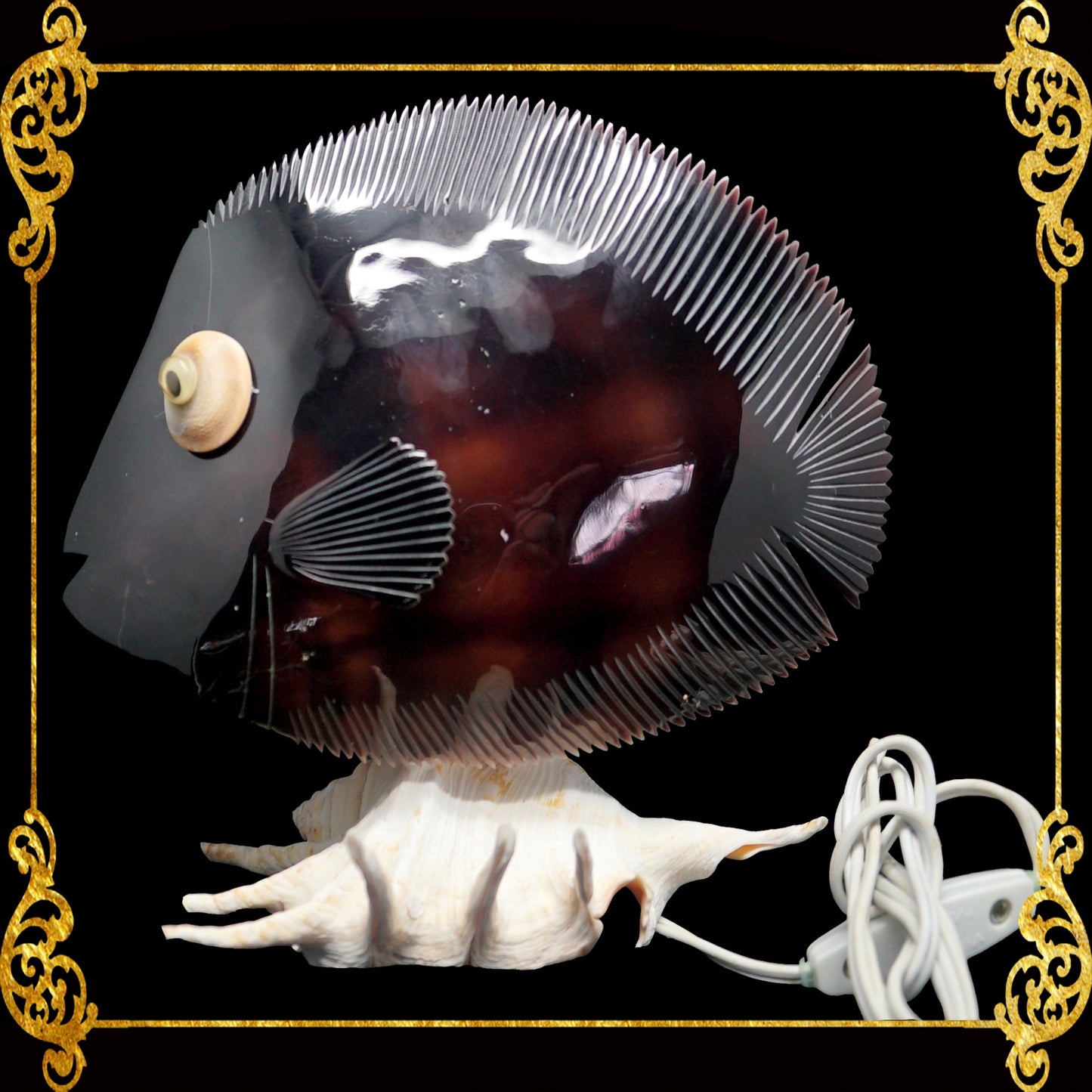 Fish Lamp | Black Maroon With Tonna Galea