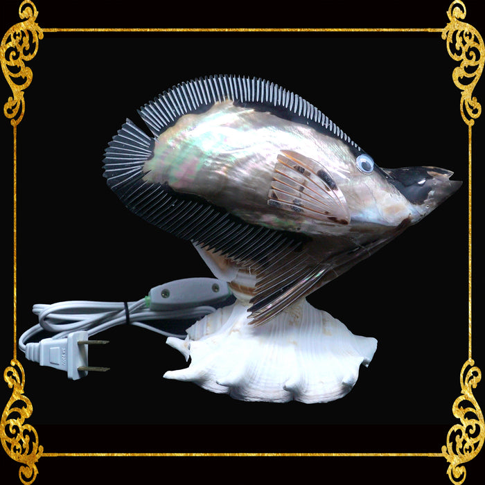 Desk Lamp | Made of Real Seashells | Pteria Penguin Fish Lamp