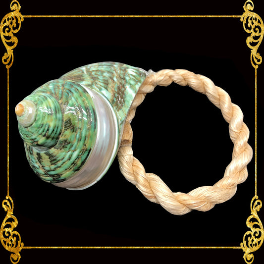 Napkin Ring - Turbo