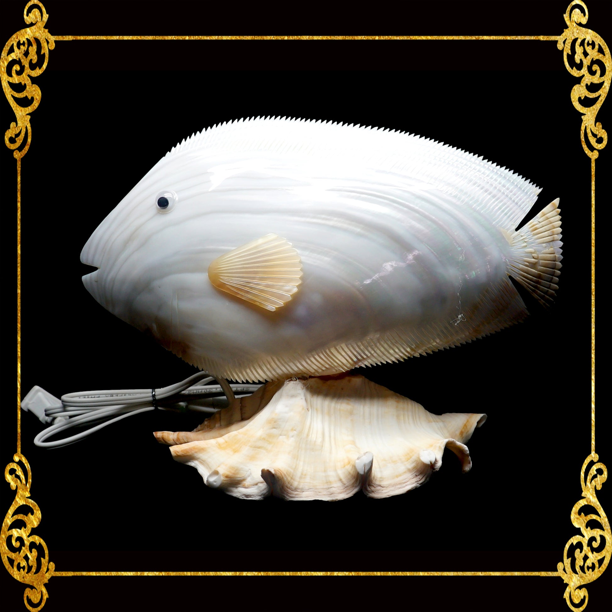 Seashell Lamps 1 – Seashell Supplies Philippines