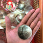 mother-of-pearl-black-lip-round-2-inches