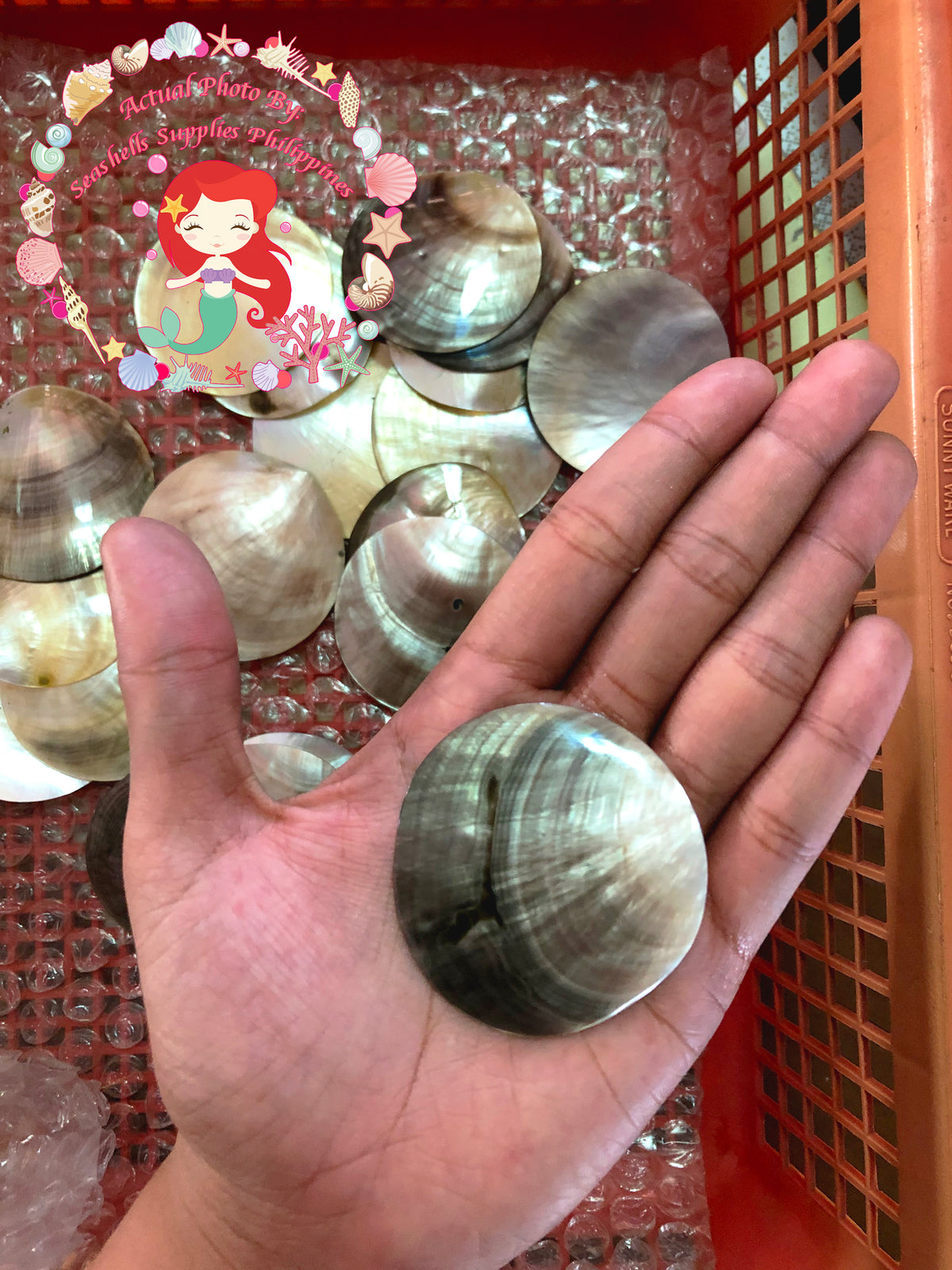 mother-of-pearl-black-lip-round-2-inches