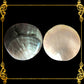 mother-of-pearl-black-lip-round-3-inches