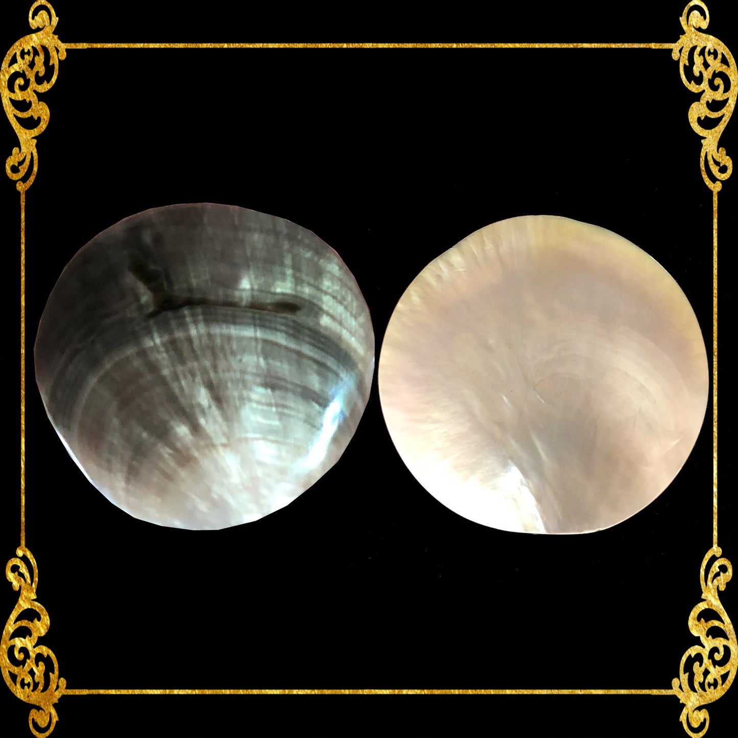 mother-of-pearl-black-lip-round-3-inches