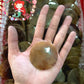 Brown Maroon | Round | Stiff Pen Shell | 2 inches