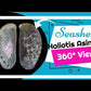 1 Kilo | Abalone | Ass's-ear Abalone | Long | Seashells | Sea shells