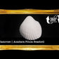 1 Kilo | Clamrose | Anadara Pilula | Tiny | Seashells | Sea shells