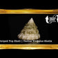 1 Kilo | Torong | Fenestrate Top | Seashells | Sea shells